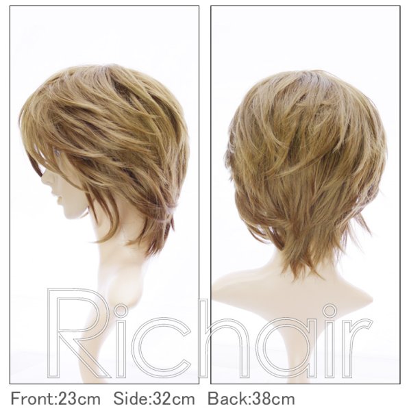 画像2: コスプレミディアムレイヤーウィッグ【ナチュラルアッシュ】 (2)