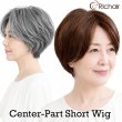画像1: センター分けショートウィッグ｜ブラック・ブラウン・グレー3色展開・年代を問わず使いやすいセンター分けショート (1)