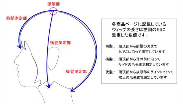 画像21: ベリーショートウィッグ (21)